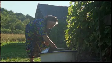 Zasłona do filmu "Adentro mío estoy bailando" #1112251
