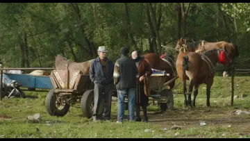 Zasłona do filmu "Adentro mío estoy bailando" #1112266