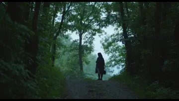 Zasłona do filmu "Adentro mío estoy bailando" #1112267