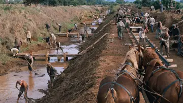 Zasłona do filmu "Testa o croce?" #540759