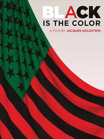 Plakat do filmu "Black Is the Color: African-American Artists and Segregation" #1616934
