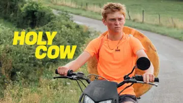 Zasłona do filmu "Niech to diabli!" #633817