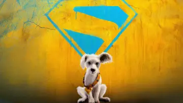Zasłona do filmu "Supergirl" #908757
