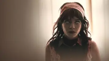 Zasłona do filmu "Towarzysz" #549505