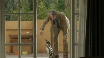 Zasłona do filmu "The Penguin Lessons" #583796