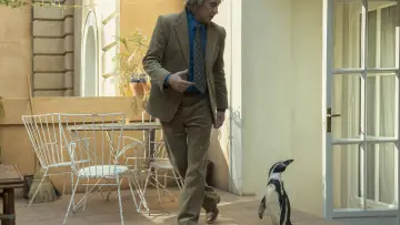 Zasłona do filmu "The Penguin Lessons" #583798
