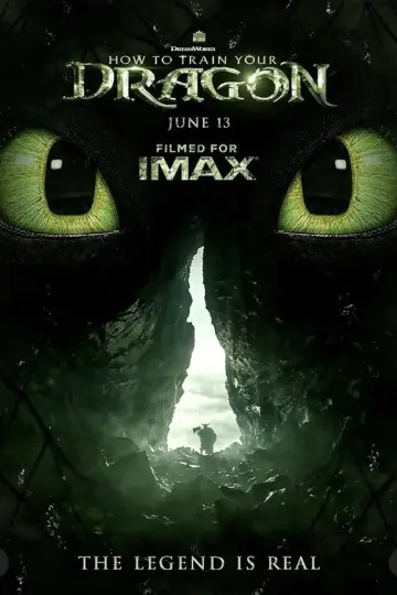 Plakat do filmu "Jak wytresować smoka" #1854940