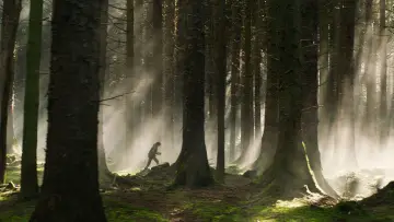 Zasłona do filmu "Jak wytresować smoka" #522909