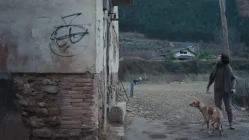 Zasłona do filmu "Un amor" #819010