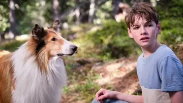 Zasłona do filmu "Lassie. Nowe przygody" #479504