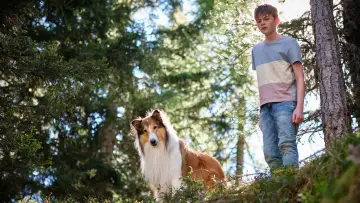 Zasłona do filmu "Lassie. Nowe przygody" #479506
