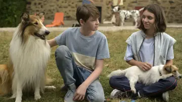 Zasłona do filmu "Lassie. Nowe przygody" #503122