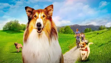 Zasłona do filmu "Lassie. Nowe przygody" #760300