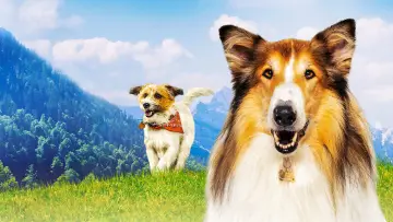 Zasłona do filmu "Lassie. Nowe przygody" #760301