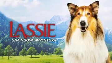 Zasłona do filmu "Lassie. Nowe przygody" #760303