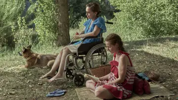 Zasłona do filmu "Małe miłości" #1015238