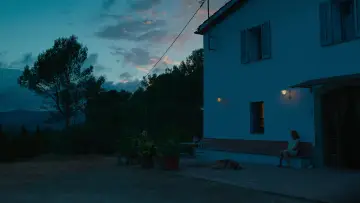 Zasłona do filmu "Małe miłości" #444428