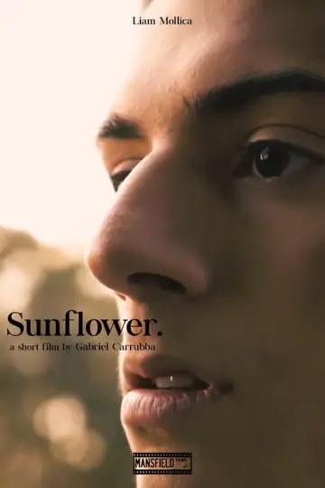Plakat do filmu "Sunflower" #476393