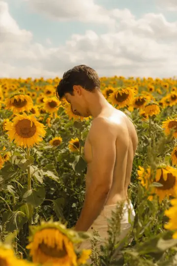 Plakat do filmu "Sunflower" #476397