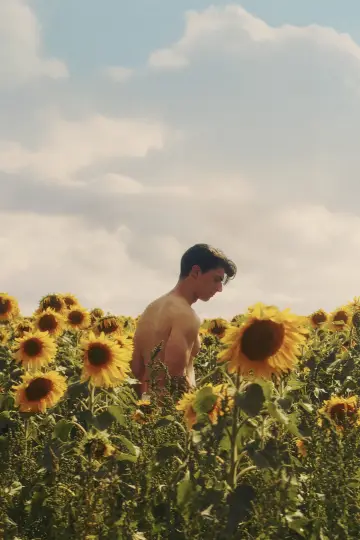 Plakat do filmu "Sunflower" #820115