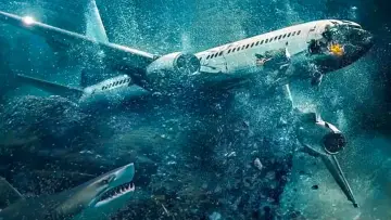 Zasłona do filmu "Bez paniki" #746994