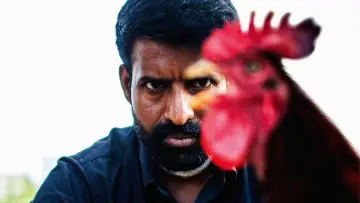 Zasłona do filmu "கொட்டுக்காளி" #1015735