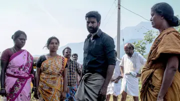 Zasłona do filmu "கொட்டுக்காளி" #1015741