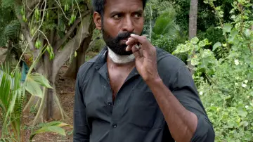 Zasłona do filmu "கொட்டுக்காளி" #366811