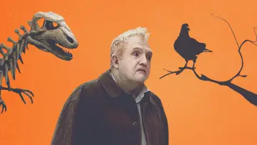 Zasłona do filmu "Gołąb przysiadł na gałęzi i rozmyśla o istnieniu" #994374