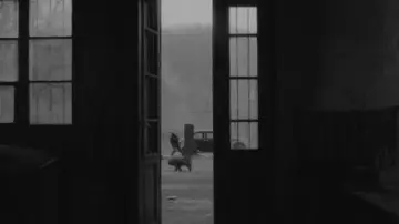 Zasłona do filmu "Szürkület" #1172895