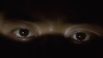 Zasłona do filmu "幽霊屋敷の恐怖 血を吸う人形" #1621438