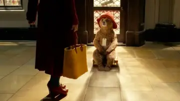 Zasłona do filmu "Paddington" #241890