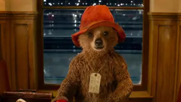 Zasłona do filmu "Paddington" #241891