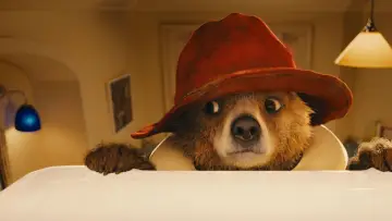Zasłona do filmu "Paddington" #241892