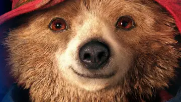 Zasłona do filmu "Paddington" #430994