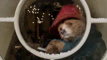 Zasłona do filmu "Paddington" #674569