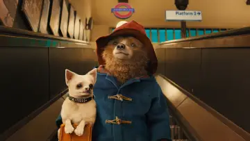 Zasłona do filmu "Paddington" #674586