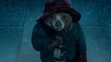 Zasłona do filmu "Paddington" #674631