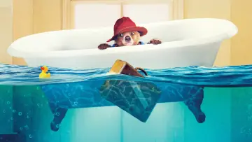 Zasłona do filmu "Paddington" #843753