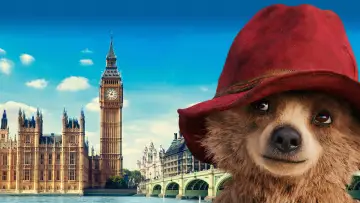 Zasłona do filmu "Paddington" #916850