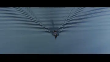 Zasłona do filmu "Clearcut" #1915015