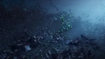 Zasłona do filmu "Tajemnica Zielonego Królestwa" #722042