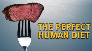 Zasłona do filmu "The Perfect Human Diet" #397584
