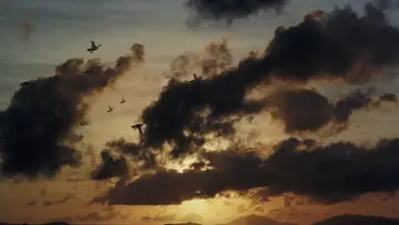 Zasłona do filmu "天涯海角" #1173333