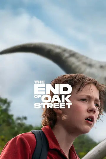 Plakat do filmu "Flowervale Street" #960076