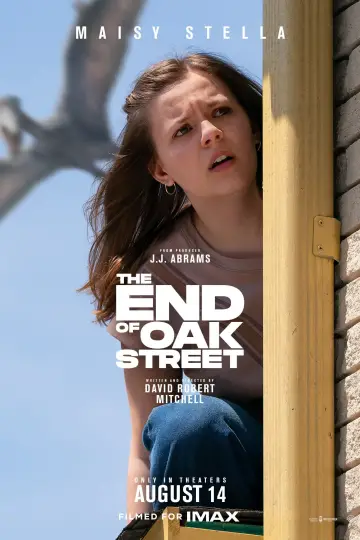 Plakat do filmu "Flowervale Street" #960079
