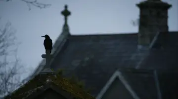 Drobiazgi takie jak te
