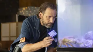 Zasłona do filmu "Nie karmić dzieci" #576754
