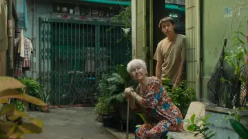 Zasłona do filmu "Jak zdobyć miliony, zanim babcia umrze" #609372