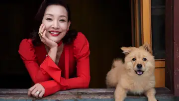 Zasłona do filmu "忠犬八公" #191749
